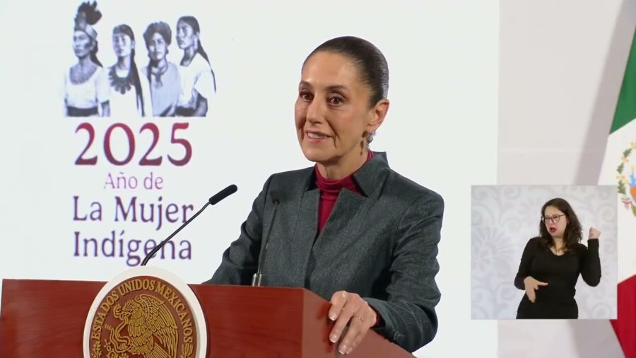 CFE: empresa pública del estado