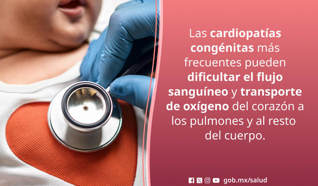 025. Prevención y detección oportuna, claves para atender cardiopatías congénitas