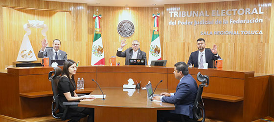 SALA REGIONAL TOLUCA CONFIRMA SANCIÓN A UNA CANDIDATURA, AL HABERSE POSTULADO POR UN GÉNERO QUE NO OSTENTÓ DURANTE SU CAMPAÑA.