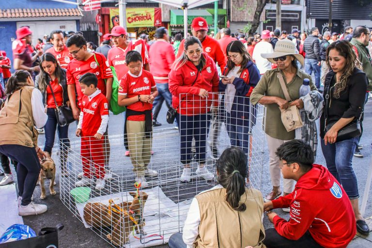 Familias mexiquenses unen el futbol y el corazón y dan un hogar a 67 seres sintientes con “La Mejor Jugada es Adoptar”
