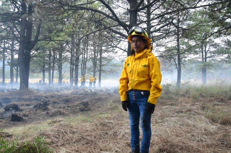De voluntaria a combatiente: Genoveva rompe estereotipos en el combate a incendios forestales en el EdoMex