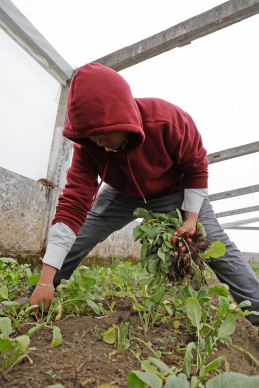 Invirtió Gobierno del Estado de México 28.5 mdp en el programa de Servicio Social Comunitario para el Bienestar en beneficio de 5 mil estudiantes