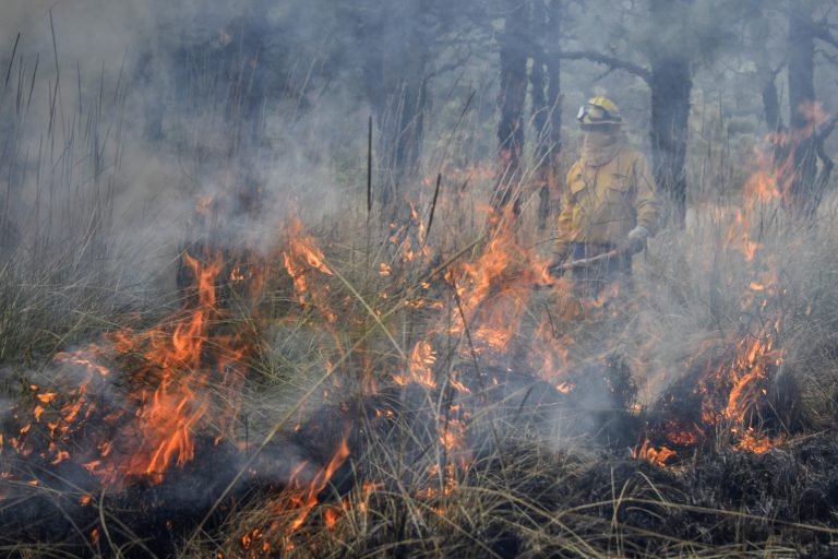 Estado de México castigará hasta con 10 años de cárcel a quien provoque incendios forestales