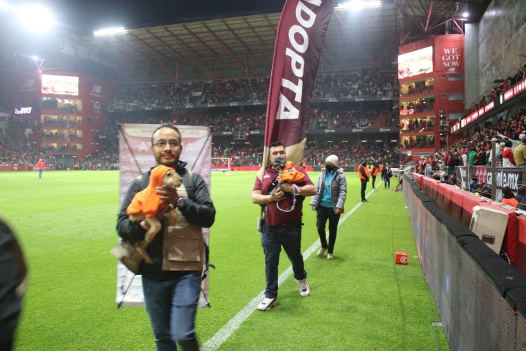Salen al terreno de juego cinco perritos y ganan un hogar gracias a “La Mejor Jugada es Adoptar” impulsada por la Gobernadora Delfina Gómez Álvarez