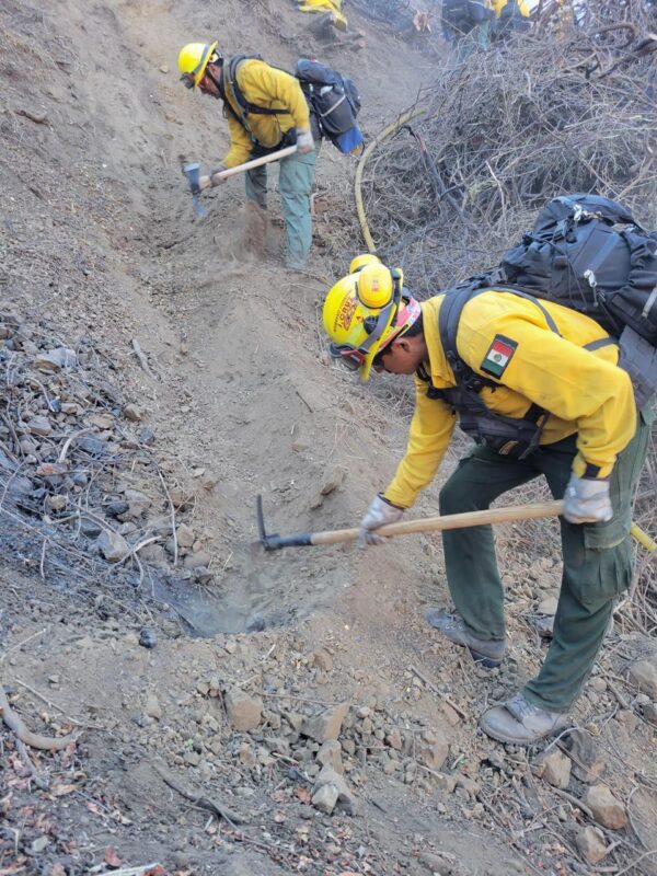 Delegación mexicana en California amplía brechas cortafuego y realiza acciones de búsqueda de posibles víctimas