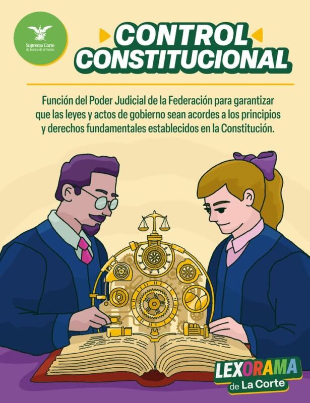 El control constitucional busca defender el orden establecido en nuestra Constitución.
