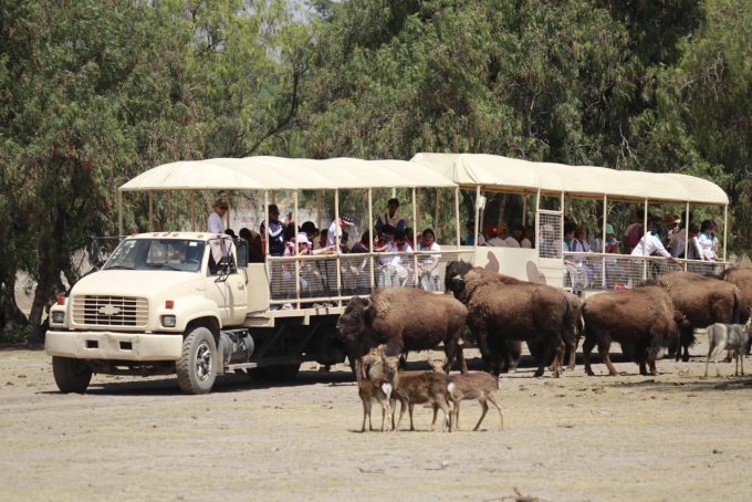 ¡Comienza a planear tus próximas vacaciones! Ven al EdoMéx y descubre la Ruta Lugar de los Dioses