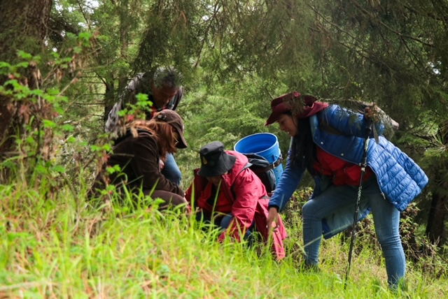 EdoMéx, un “Destino hecho a Mano” para el ecoturismo