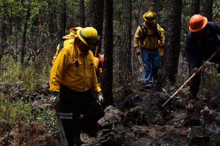 ¡Prevenir es mejor que combatir! EdoMéx logra disminuir 52% la afectación por incendios forestales en Semana Santa