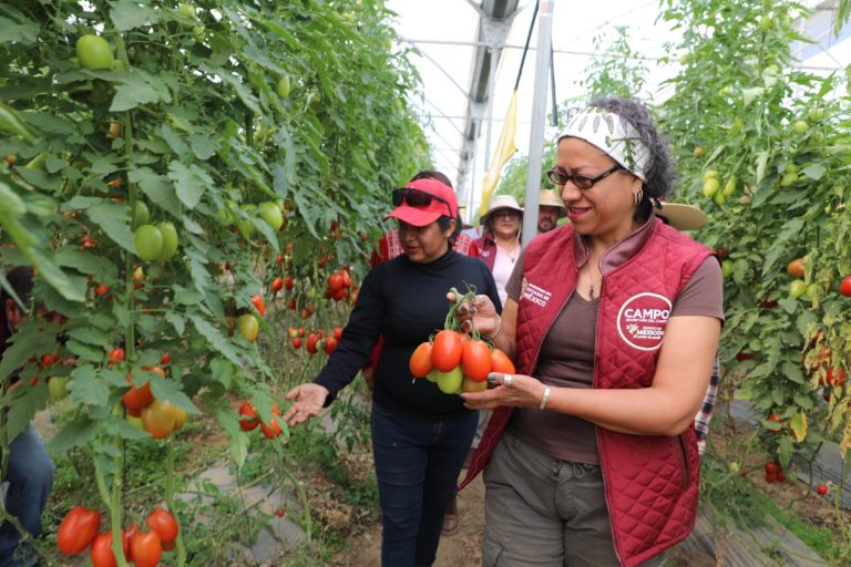 2024, el año de la transformación y el rescate del campo mexiquense para revertir décadas de abandono