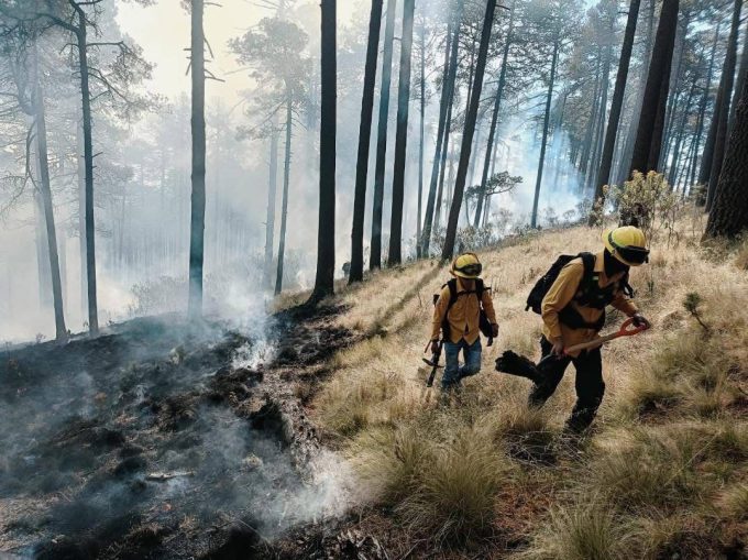 Atienden Gobiernos del EdoMéx y Federal incendio forestal en zona del Nevado de Toluca con personal altamente capacitado
