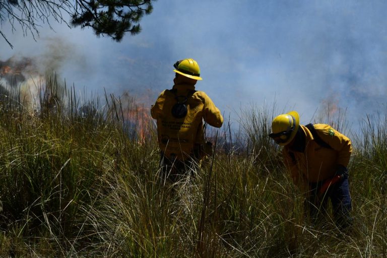 Reconoce Probosque vocación y entrega de las y los brigadistas de incendios forestales en el EdoMéx