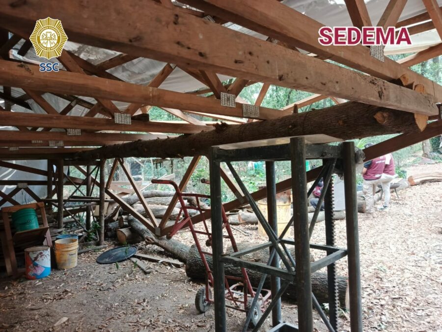 Efectivos de la SSC detuvieron a un hombre posiblemente relacionado con la tala ilegal de árboles, en la Barranca Atzoyapan, Álvaro Obregón