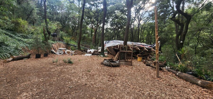 Recupera SEDEMA área de Valor Ambiental en la Barranca Atzoyapan