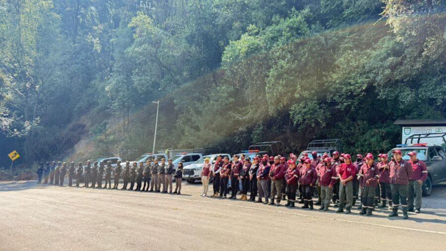 Operativo conjunto protege ocho hectáreas de suelo de conservación en los Dinamos