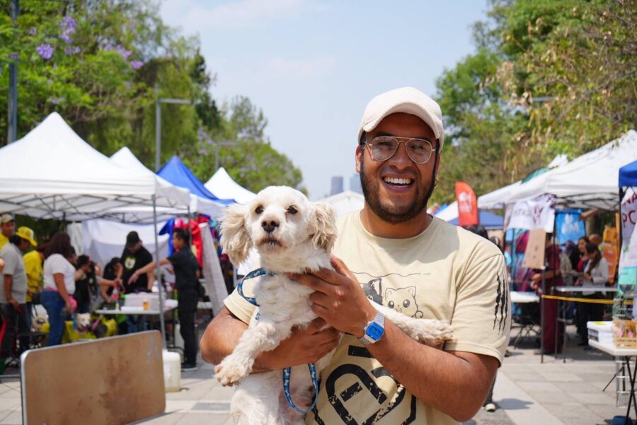 Segundo Adoptatón de perros y gatos, un éxito rotundo en el Bosque de Chapultepec