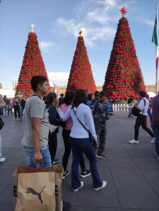 Árboles de nochebuena en la Verbena Navideña del Zócalo, árboles que parecieran tocar el cielo