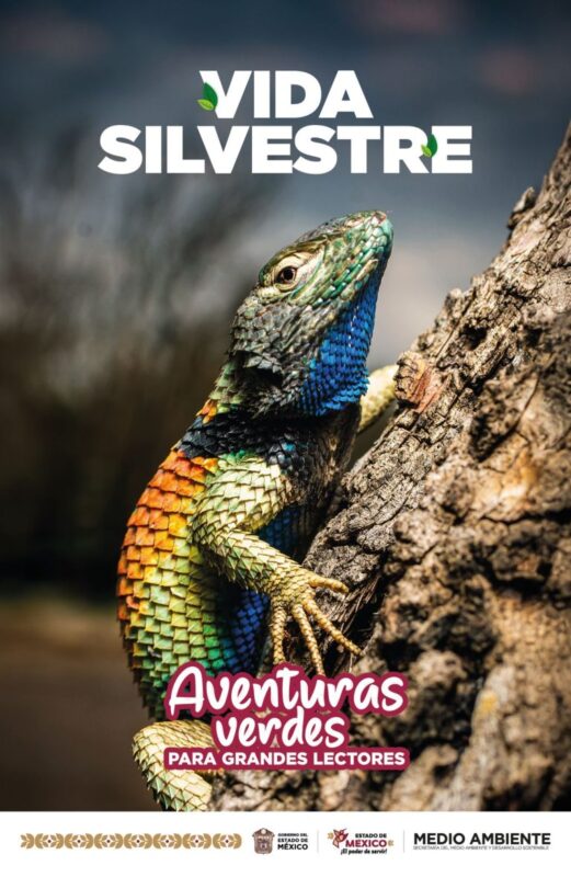 Lanza Gobierno del EdoMéx “Aventuras Verdes para Grandes Lectores”, una colección de cuadernillos de educación ambiental