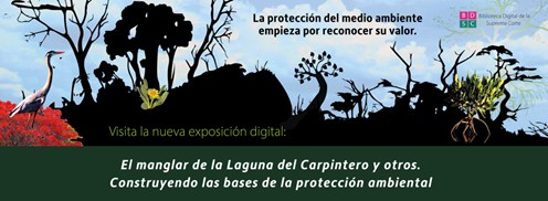 En 2018, #LaCorte ordenó restaurar el manglar de la Laguna del Carpintero, en Tamaulipas.  Te invitamos a visitar nuestra exposición digital sobre este tema y conocer algunas resoluciones que han ayudado a garantizar nuestro derecho a un medio ambiente sano.
