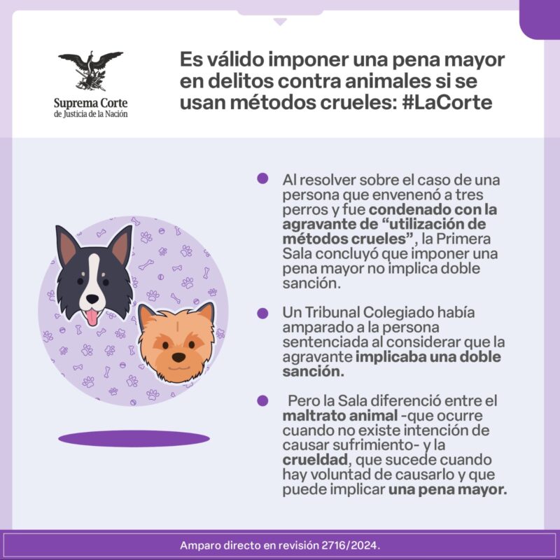 Es constitucional que, en delitos cometidos en contra de animales, se impongan penas mayores cuando además se utilizan métodos crueles: #LaCorte.