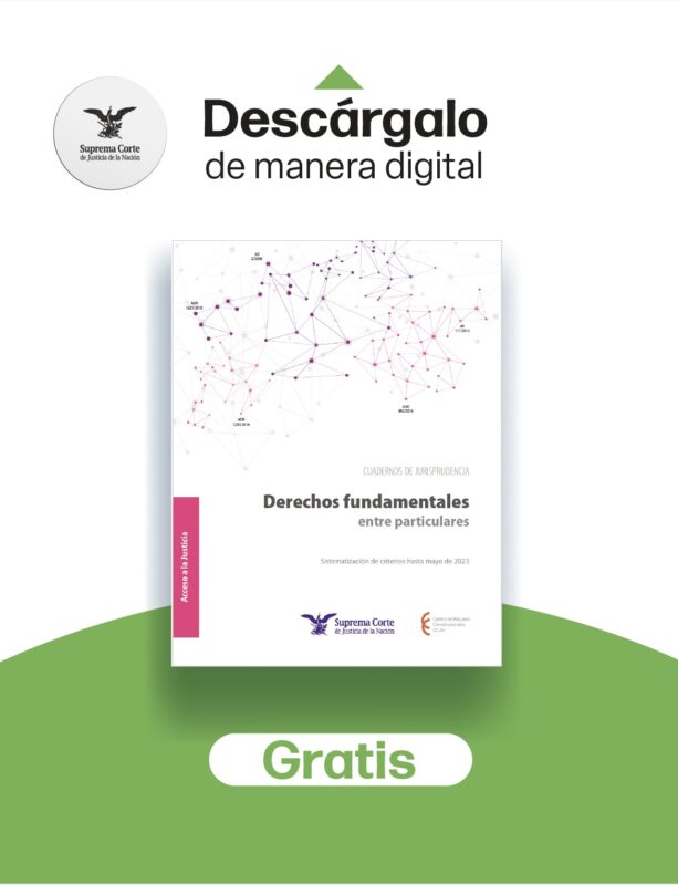 Descarga GRATIS el cuaderno de jurisprudencia del Centro de Estudios Constitucionales "Derechos fundamentales entre particulares"