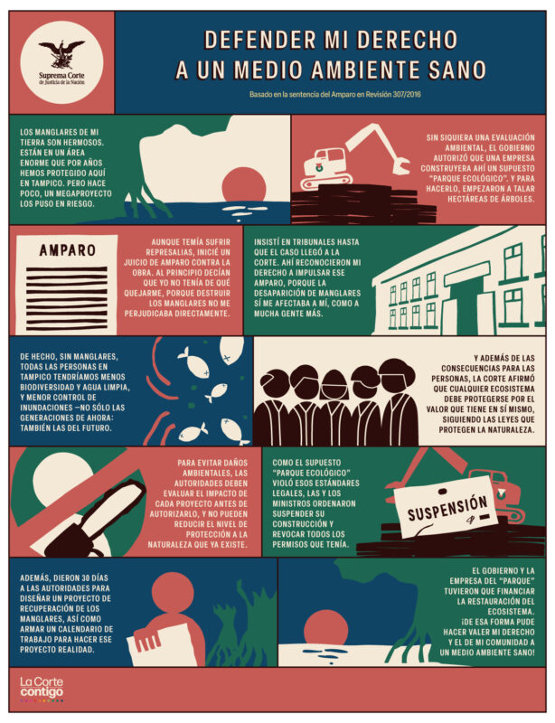En el #DíaMundialDelMedioAmbiente destacamos la importancia de garantizar nuestro derecho a disfrutar de un medio ambiente sano. Conoce como algunas decisiones de  #LaCorte han ayudado a proteger este derecho.
