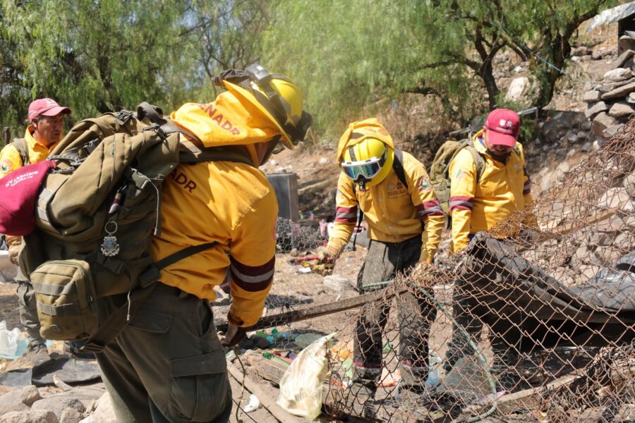 Recupera Gobierno de la Ciudad de México 15 hectáreas de suelo de conservación en Gustavo A. Madero
