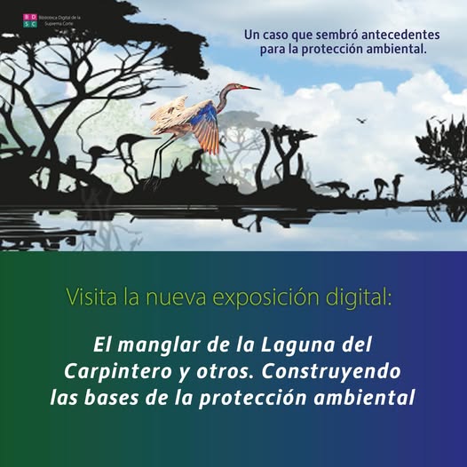 En 2018, #LaCorte ordenó restaurar el manglar de la Laguna del Carpintero, en Tamaulipas. Te invitamos a visitar nuestra exposición digital sobre este tema y conocer algunas resoluciones que han ayudado a garantizar nuestro derecho a un medio ambiente sano.