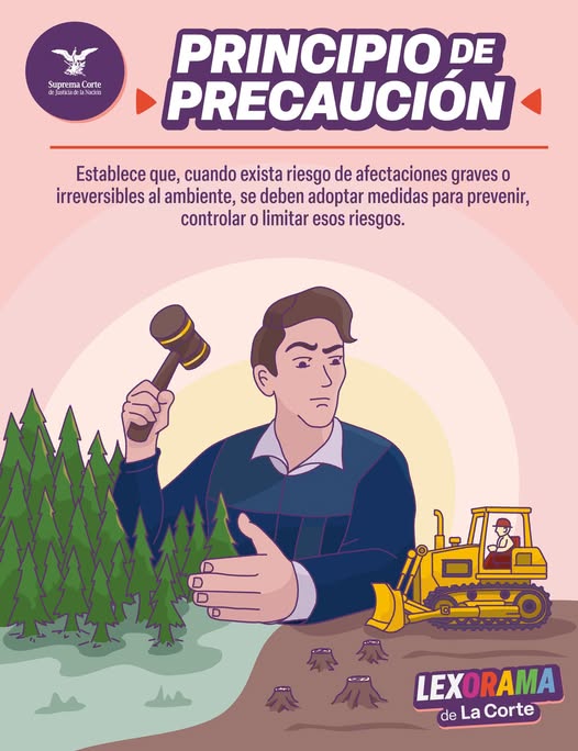 En este #Lexorama de #LaCorte te explicamos qué es el Principio de Precaución. #SaberEsTuDerecho