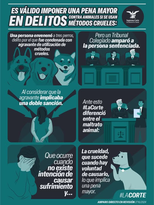Este #DíaMundialDelPerro, recordamos que toda vida merece respeto. Por ello, #LaCorte validó que es legal imponer penas mayores cuando los delitos contra animales se cometen con crueldad. Protegerlos también es hacer justicia.  #JusticiaParaLosAnimales