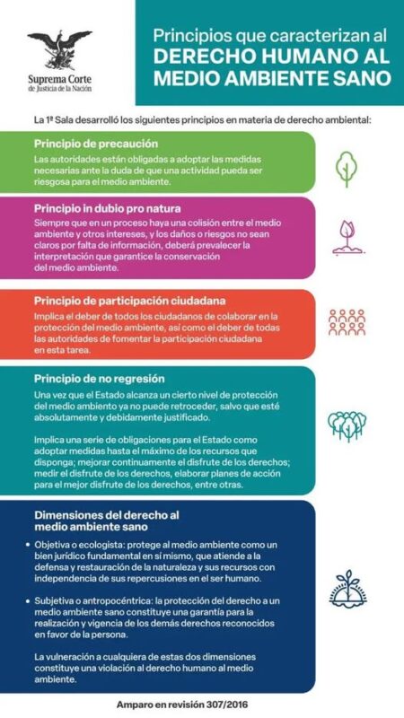 Todas las personas tienen derecho a vivir en un medio ambiente sano. Conoce los principios que rigen este derecho. #LaCorteContigo #SaberEsTuDerecho