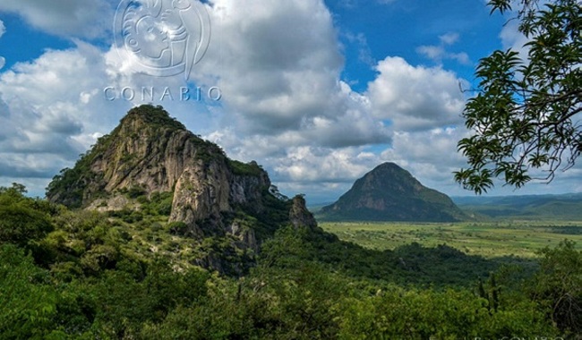El Gobierno de Morelos y la CONABIO fortalecen su alianza estratégica para la conservación de la biodiversidad del estado