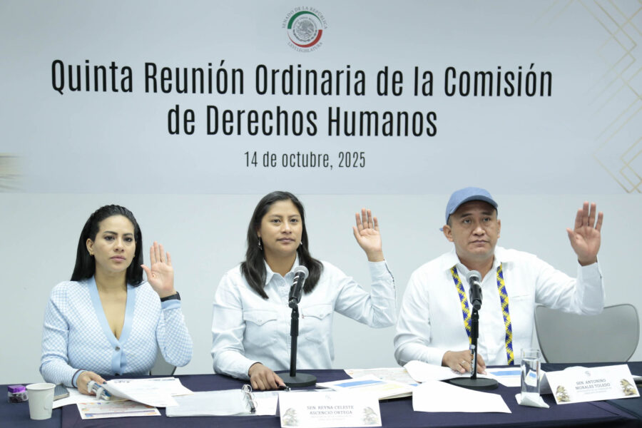 Llevarán a cabo serie de eventos en el Senado para conmemorar Día de los Derechos Humanos