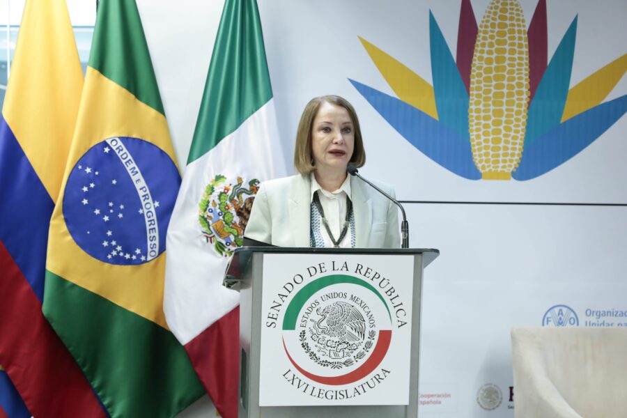 La cooperación internacional es el camino para lograr seguridad alimentaria justa y sostenible: Laura Itzel Castillo