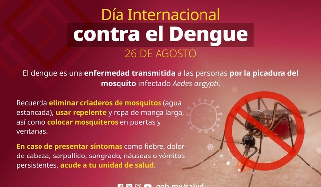 159. Participación de todas y todos en medidas de prevención, la mejor estrategia para combatir al dengue