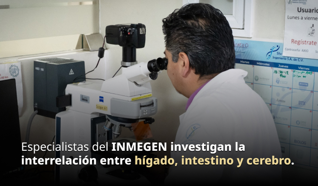015. Cuidado del hígado contribuye a proteger el intestino y el cerebro, afirman especialistas del INMEGEN