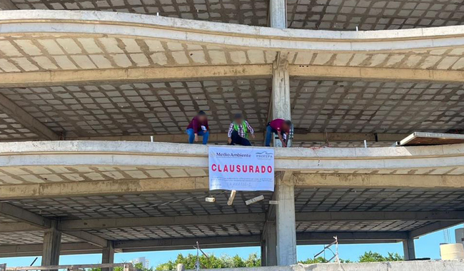 Profepa clausura obra inmobiliaria en zona de manglar en Mazatlán, Sinaloa