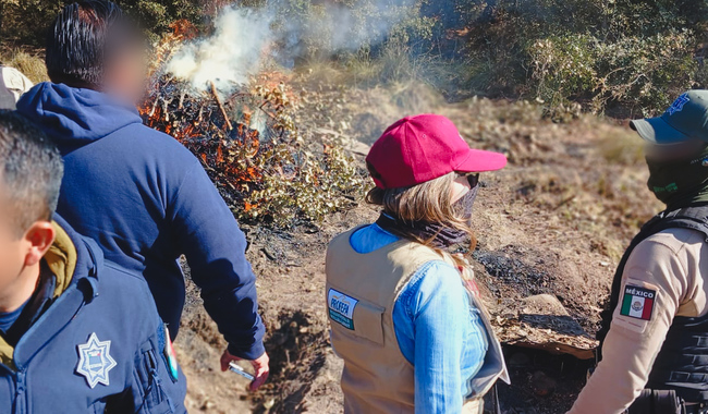 Profepa y fuerzas de seguridad inhabilitan hornos de carbón vegetal en las inmediaciones del Parque Nacional La Malinche, Tlaxcala
