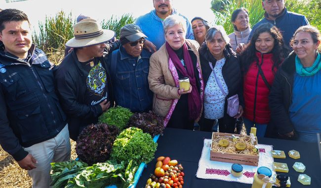 restauración de estos ecosistemas