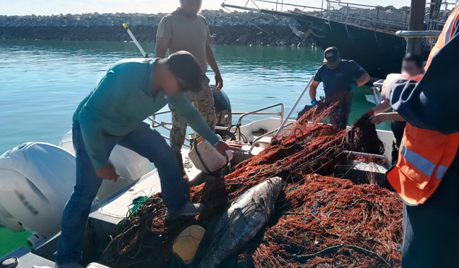 6-mil-metros-de-redes