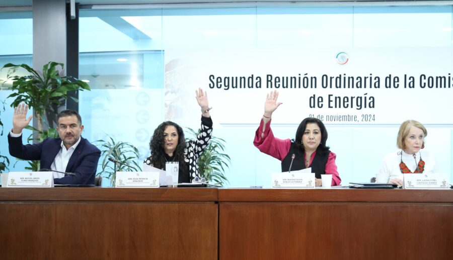 Comision_Energa