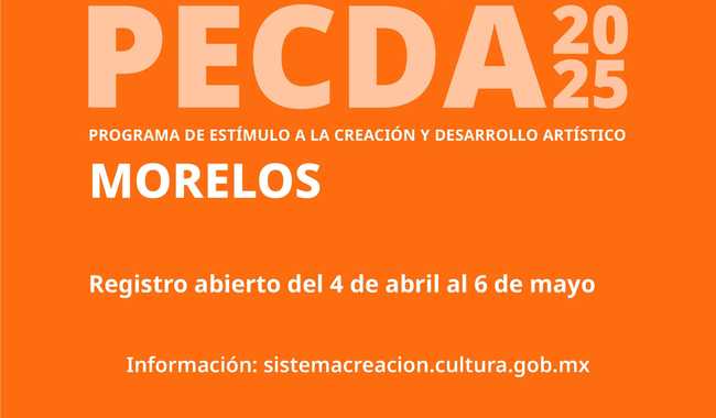 Podran-presentarse-proyectos