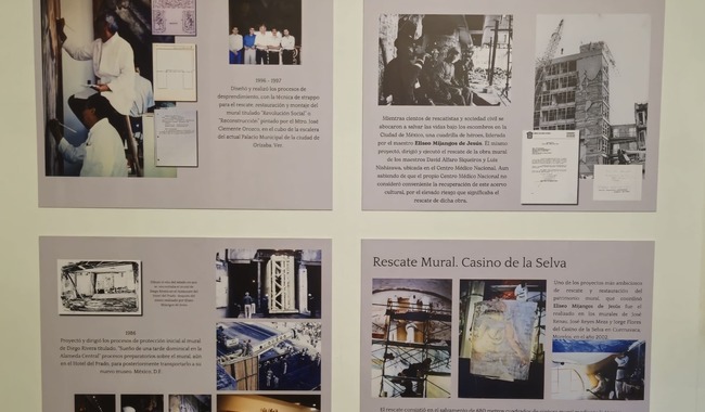 la-participacion-de-especialistas