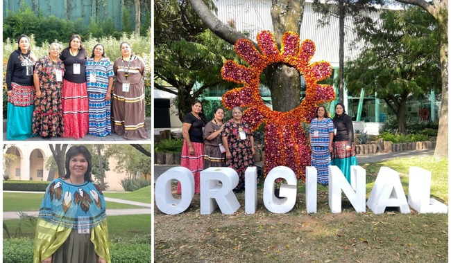 se-exhibe-una-extraordinaria-variedad