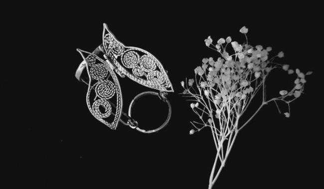 tecnicos-profesionales-especialistas