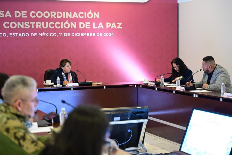 12-por-ciento-en-delitos