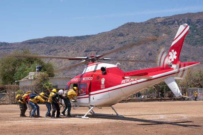 Relampagos-y-Probosque