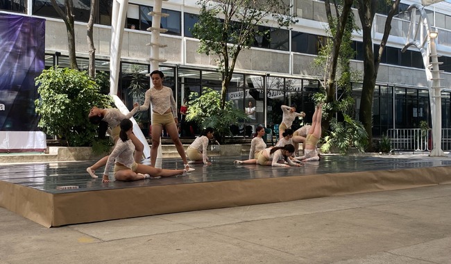 MUESTRA-COREOGRAFICA