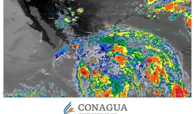 conagua84