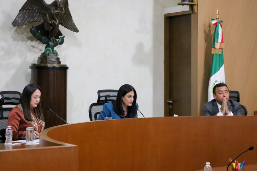 La Sala Regional CDMX confirma la resolución del Tribunal Electoral de Puebla sobre paridad de género en candidaturas del PAN